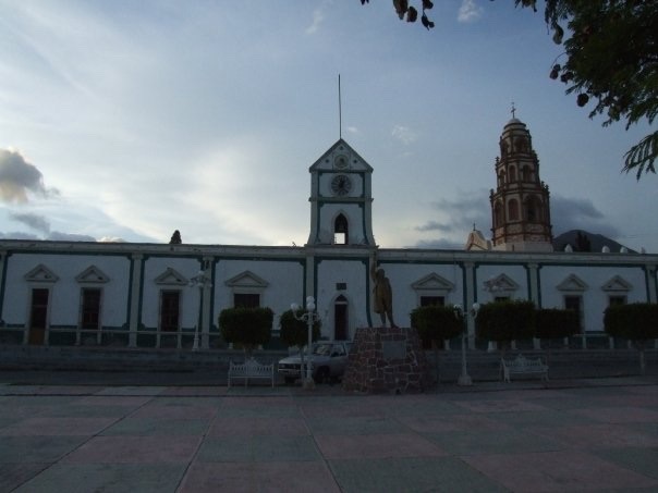 cardonal hgo copia