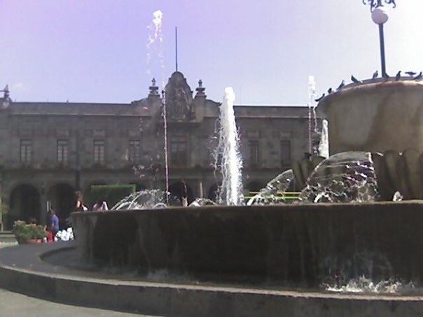 guadalajara jalisco copia